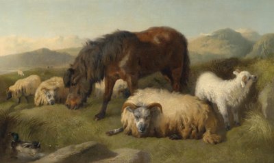 Capre, pecore e un pony da Richard Ansdell